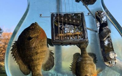 Catch of the Day: The Fishiest Telecaster You’ve Ever Seen